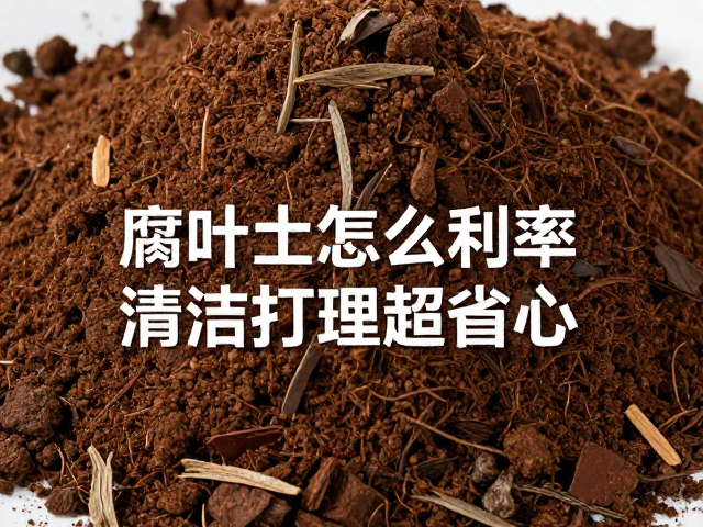 腐叶土怎么用？3招提升空间利用率，清洁打理超省心