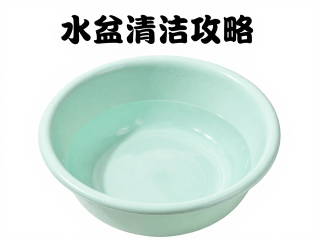 水盆清洁攻略，记录喂食时间，打造宠物健康饮食日常