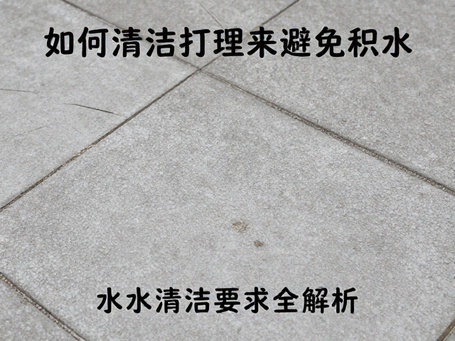 如何清洁打理避免积水？水质清洁要求全解析