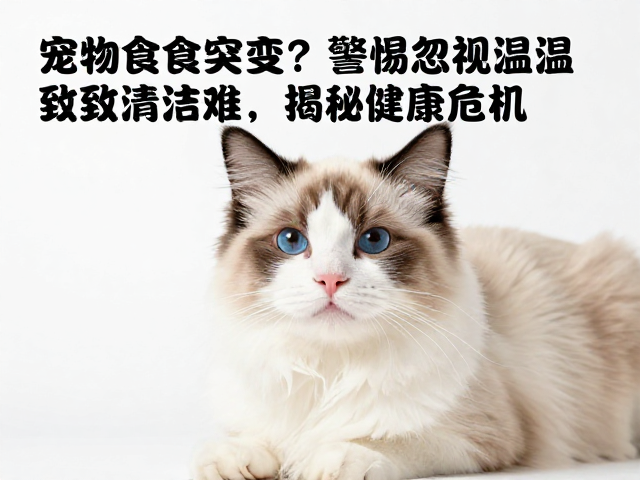 宠物食欲突变?警惕忽视温湿度致清洁难,揭秘健康危机