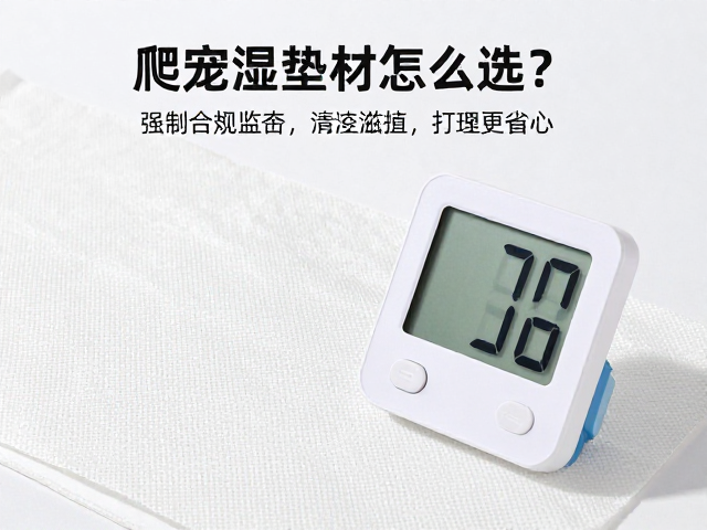 爬宠保湿垫材怎么选？温湿度计精准监控，清洁打理更省心