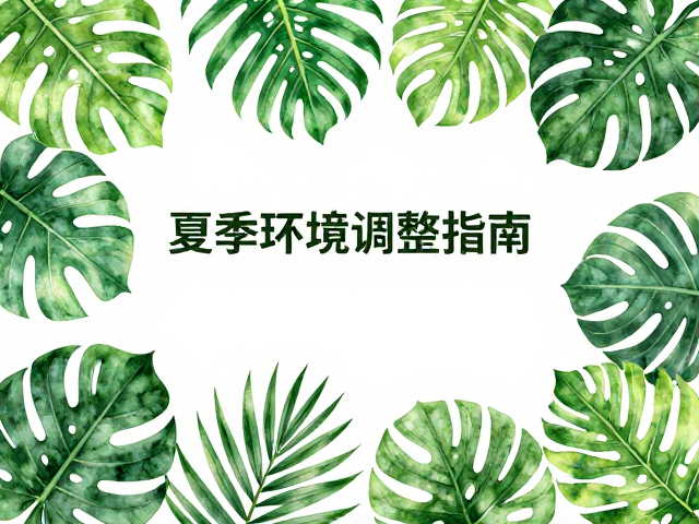 夏季降温与清洁打理,季节性环境调整指南