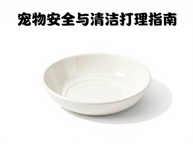 宠物进食工具安全与清洁打理指南，守护爱宠健康