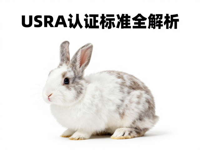 幼兔鉴别技巧,纯种侏儒兔价格区间与USRA认证标准全解析