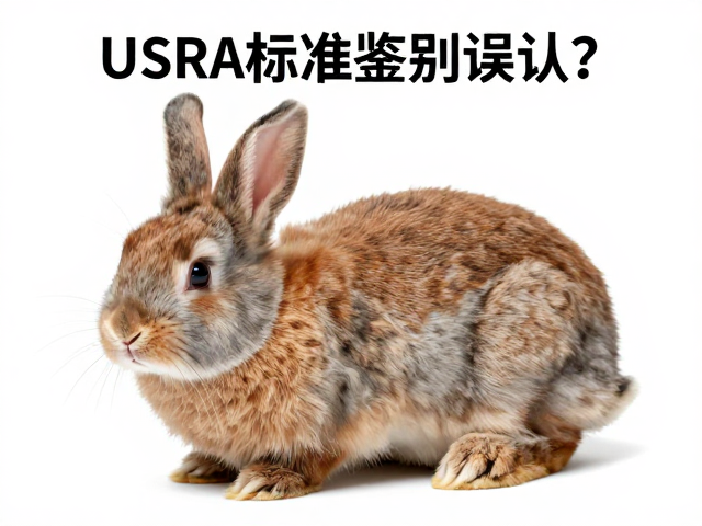 幼兔毛色基因差异致误认？USRA标准鉴别指南
