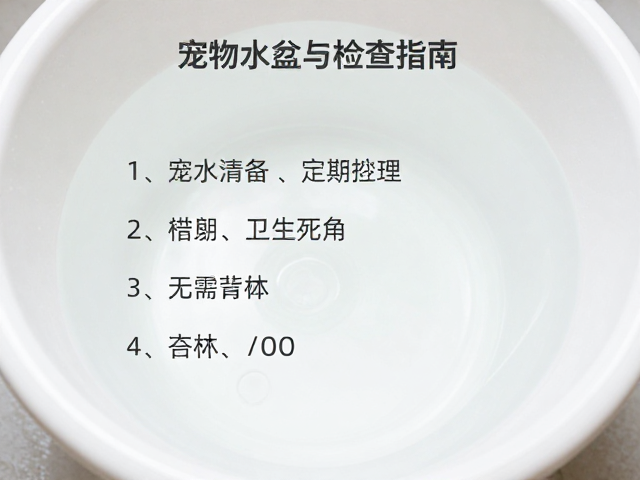宠物水盆清洁与设备定期检查指南,轻松打理卫生死角