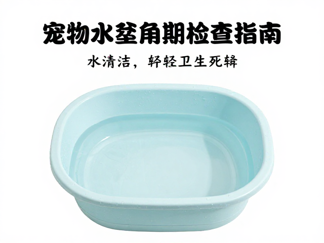 宠物水盆清洁与设备定期检查指南，轻松打理卫生死角