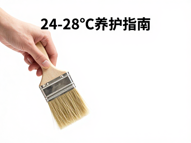 24-28&deg;C养护指南，用专业小刷子轻松清洁打理，保持最佳状态