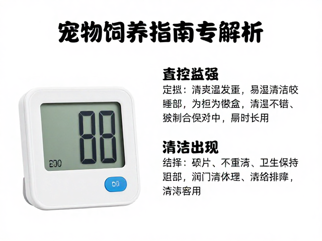 宠物饲养指南，温湿度计监控、清洁打理与进食记录全解析