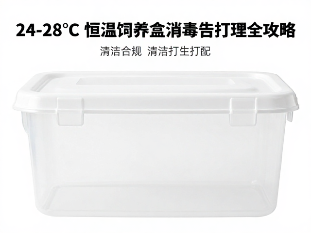 24-28&deg;C恒温饲养盒消毒指南，清洁打理全攻略