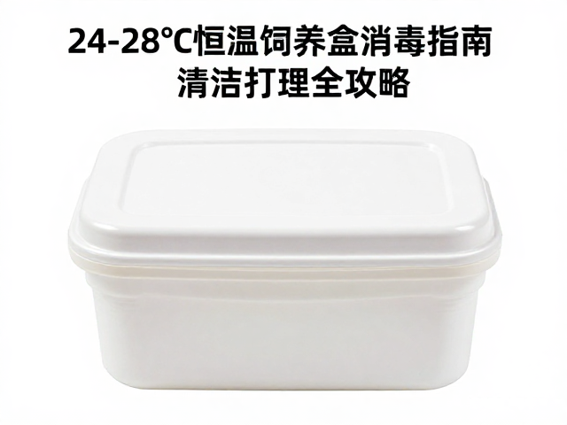 24-28&deg;C恒温饲养盒消毒指南，清洁打理全攻略