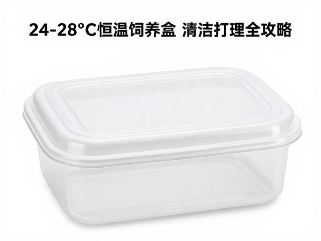 24-28&deg;C恒温饲养盒消毒指南，清洁打理全攻略