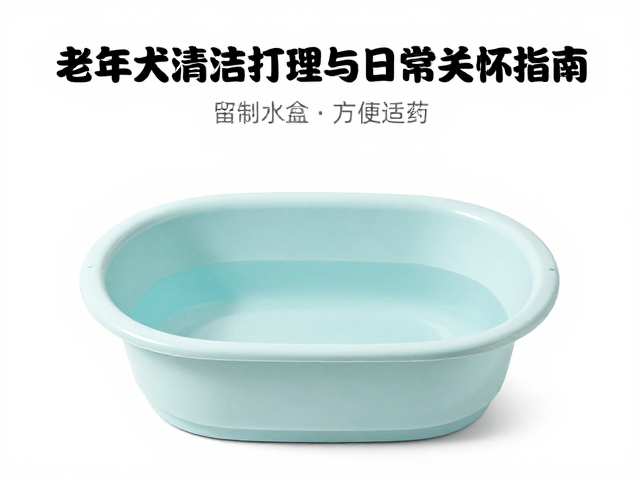 浅口水盆怎么选？老年犬清洁打理与日常关怀指南
