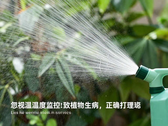 喷水壶清洁难？忽视温湿度监控致植物生病，正确打理攻略
