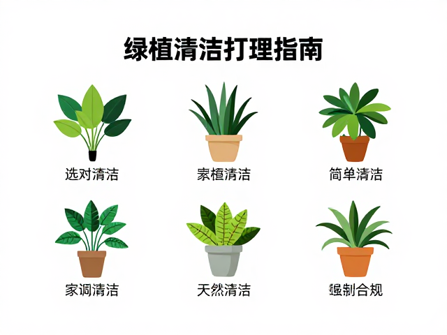 绿植清洁打理指南，选对植物，简单清洁让家居焕然一新