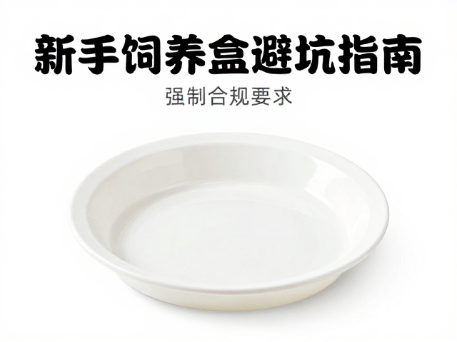 浅盘饮水，饲养盒清洁打理，新手饲养盒避坑指南与卫生维护