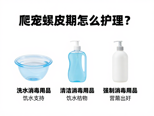爬宠蜕皮期怎么护理？清洁消毒用品选购指南
