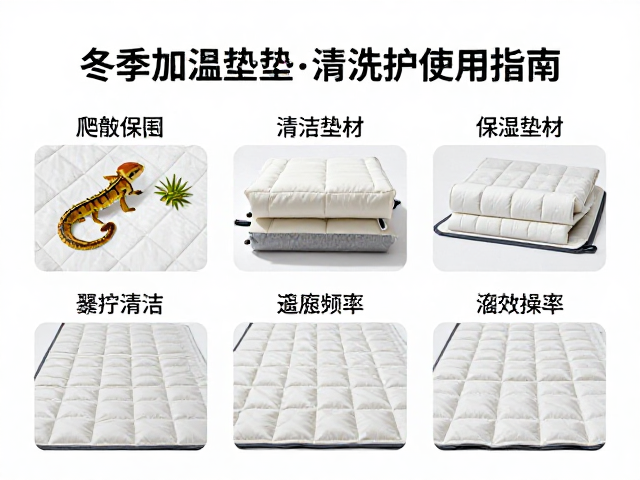 爬宠冬季加温垫使用指南，保湿垫材清洁打理全攻略