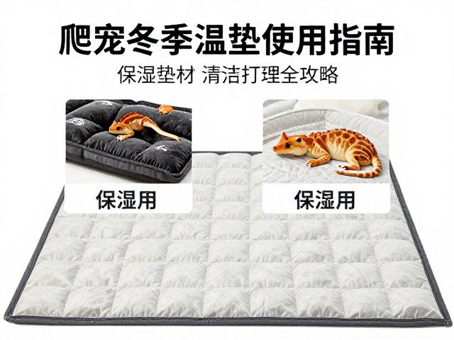 爬宠冬季加温垫使用指南，保湿垫材清洁打理全攻略