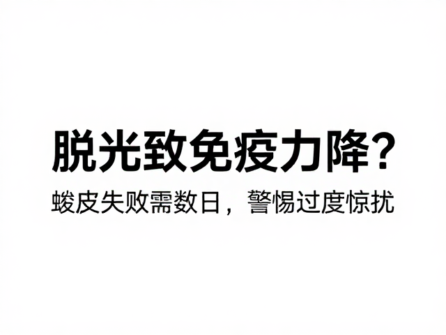 脱水致免疫力降？蜕皮失败需数日，警惕过度惊扰