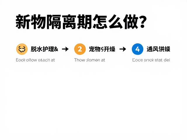 新宠物隔离期怎么做？脱水护理与通风干燥是关键