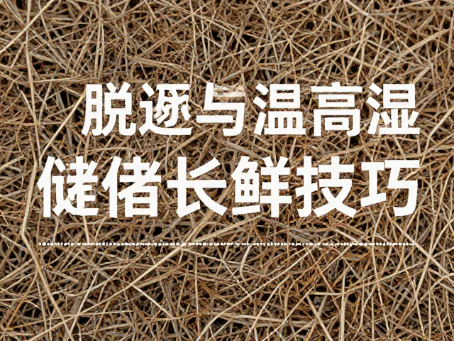 脱水与低湿环境诱导，避免高温高湿下的储存与保鲜技巧