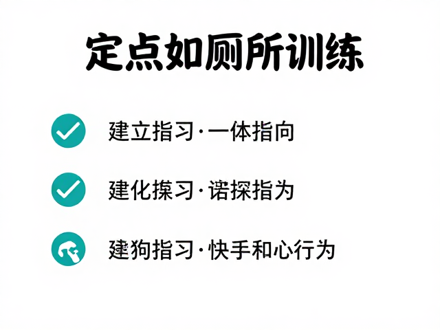 定点如厕训练，用一致性指令快速塑造狗狗正确行为