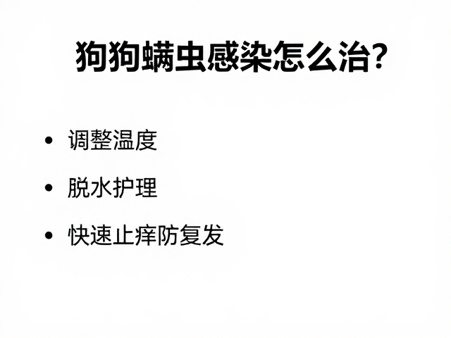 狗狗螨虫感染怎么治？调整温湿度，脱水护理，快速止痒防复发