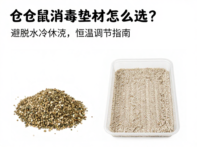 仓鼠消毒垫材怎么选?避脱水冷休克,恒温调节指南
