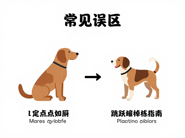 人宠互动默契养成,定点如厕与跳跃障碍训练指南