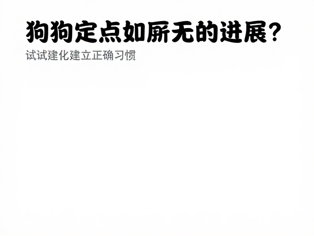 狗狗定点如厕无进展？试试正向强化法，快速建立正确习惯