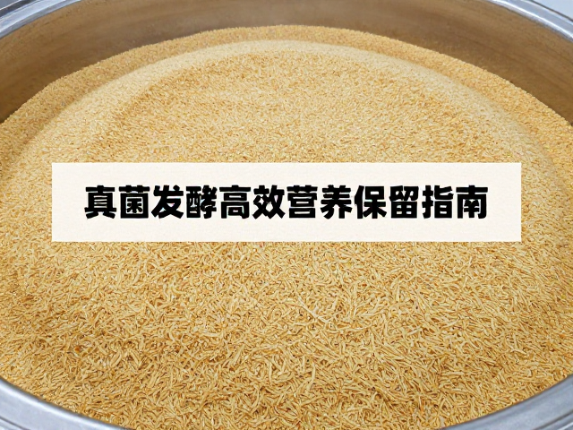 富含蛋白质饲料脱水技术，真菌发酵高效保存与营养保留指南