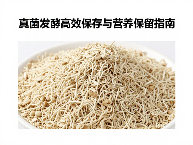 富含蛋白质饲料脱水技术，真菌发酵高效保存与营养保留指南