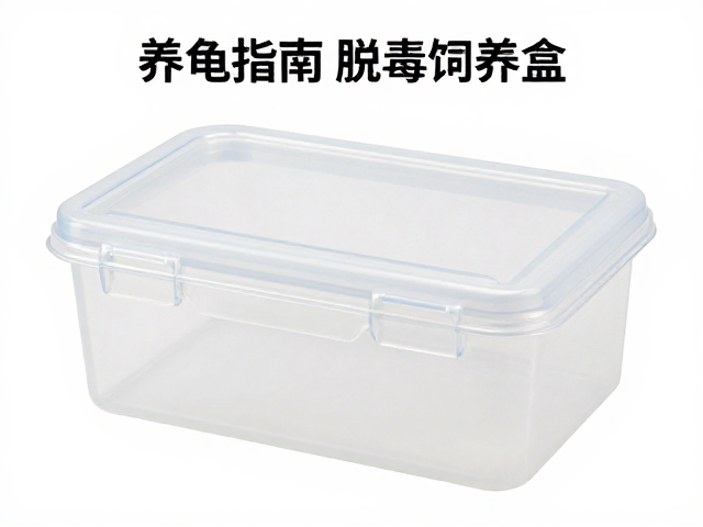 养龟指南，消毒饲养盒，脱水护理，避免频繁打扰助其健康