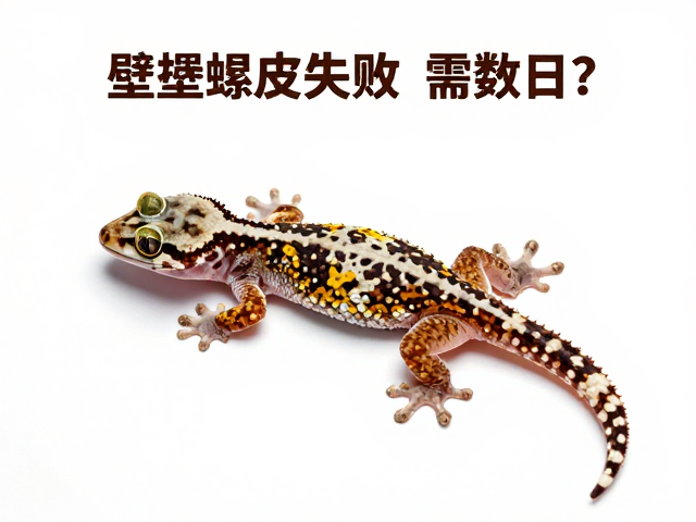 壁虎蜕皮失败需数日?行动迟缓是预兆,脱水急救指南