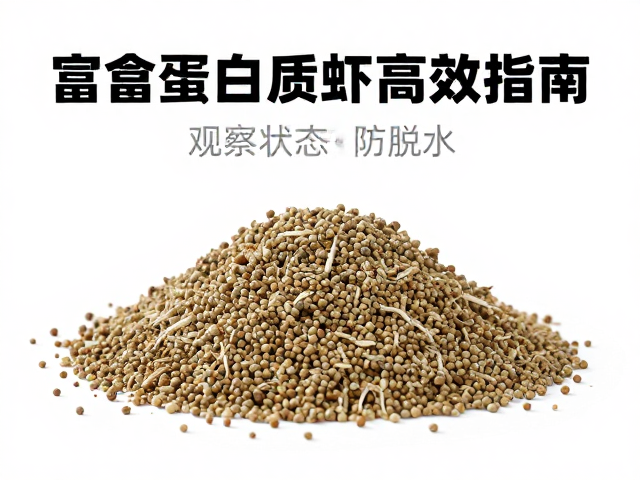 富含蛋白质饲料促蜕皮，观察状态防脱水，养虾高效指南