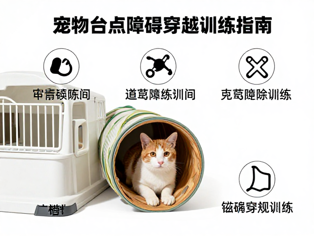 宠物定点如厕与钻隧道障碍穿越训练指南