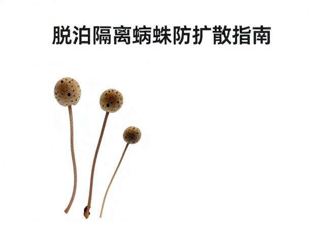 真菌孢子如何感染?脱水隔离病蛛防扩散指南