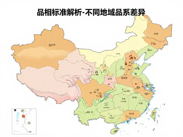 品相标准解析，不同地域品系差异与无明显畸形鉴别指南