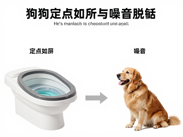 狗狗定点如厕与噪音脱敏，短时高频训练法详解