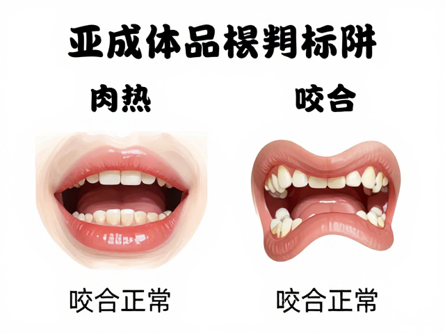 亚成体品相标准，咬合正常如何定义？新手避坑指南