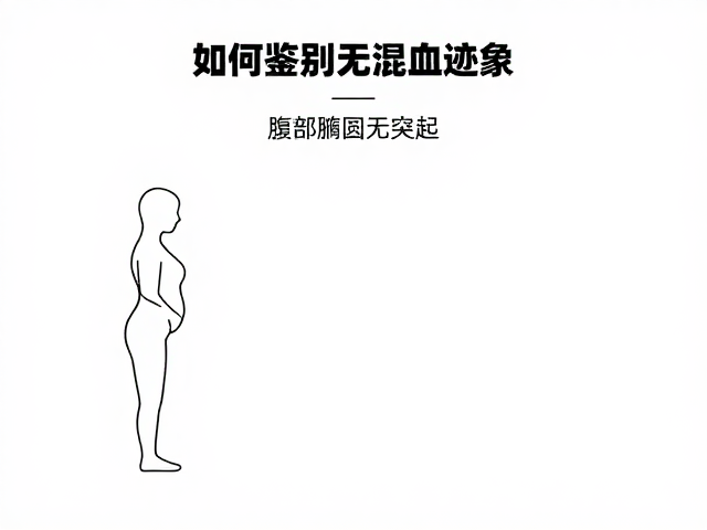 如何鉴别无混血迹象？腹部椭圆无突起，品相标准选购指南