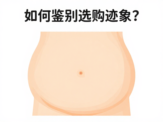 如何鉴别无混血迹象？腹部椭圆无突起，品相标准选购指南