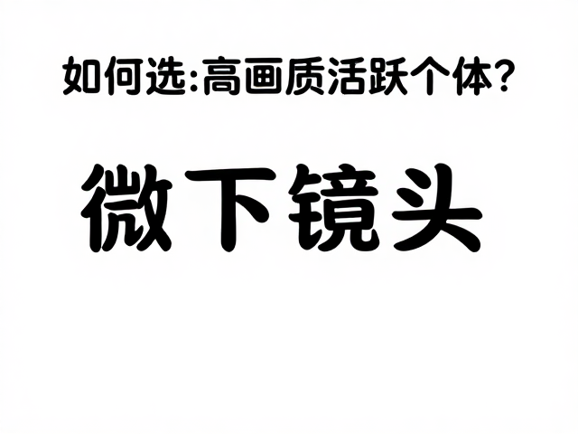 微距镜头选购指南,如何挑选高画质活跃个体?