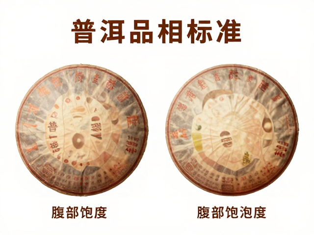 普洱茶品相标准，对比图谱解析腹部饱满度，选茶不踩坑