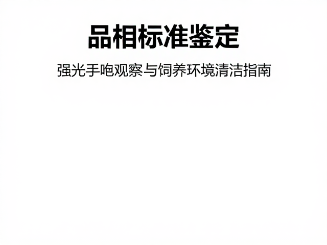 品相标准鉴定,强光手电观察与确认饲养环境清洁指南