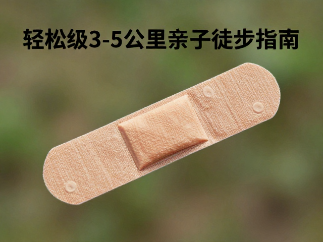 出行全攻略
