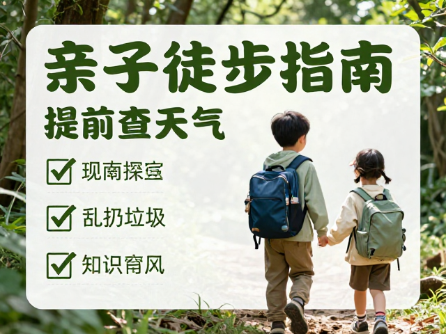 自然观察：从感官体验到知识内化