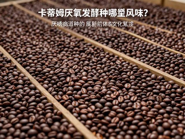 厌氧环境对风味前体的转化路径