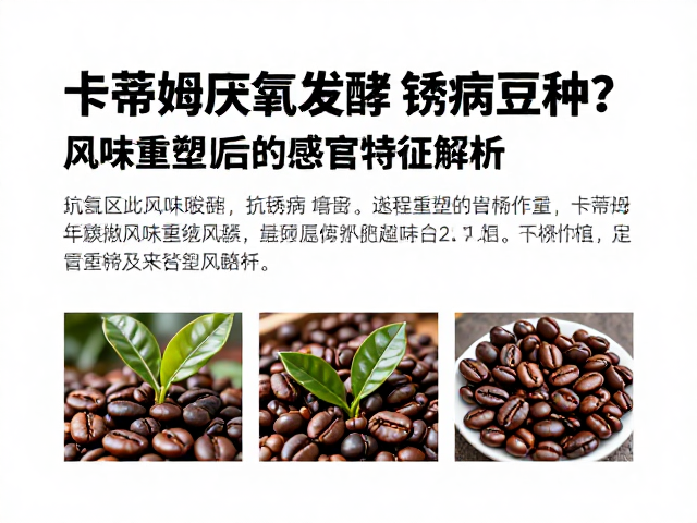 风味重塑后的感官特征解析